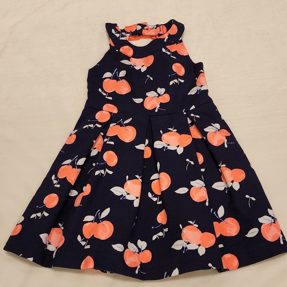 Janie and Jack Other - Janie and Jack Dress Navy Blue and Neon Cherries Size 4